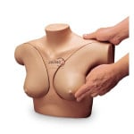 Breast Examination Model